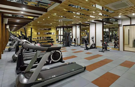 Индия-карма стиль жизни-вадодара гуджарат 100 кв.м