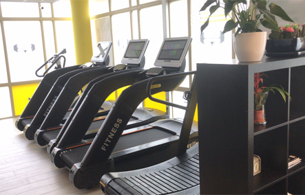 Holland-Pro Fit тренажерный зал 300 кв.м