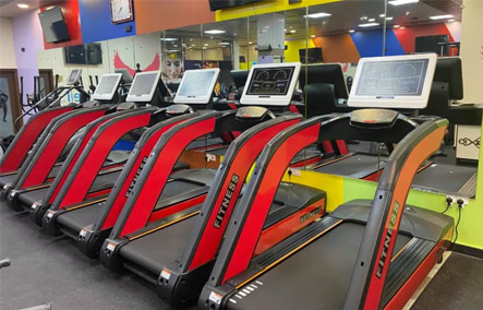 Тренажерный зал "ираки-женщины" площадью 80 кв.м