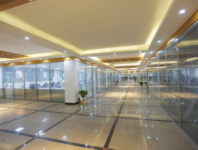 GLOBAL PARTNERSHIP NETWORK