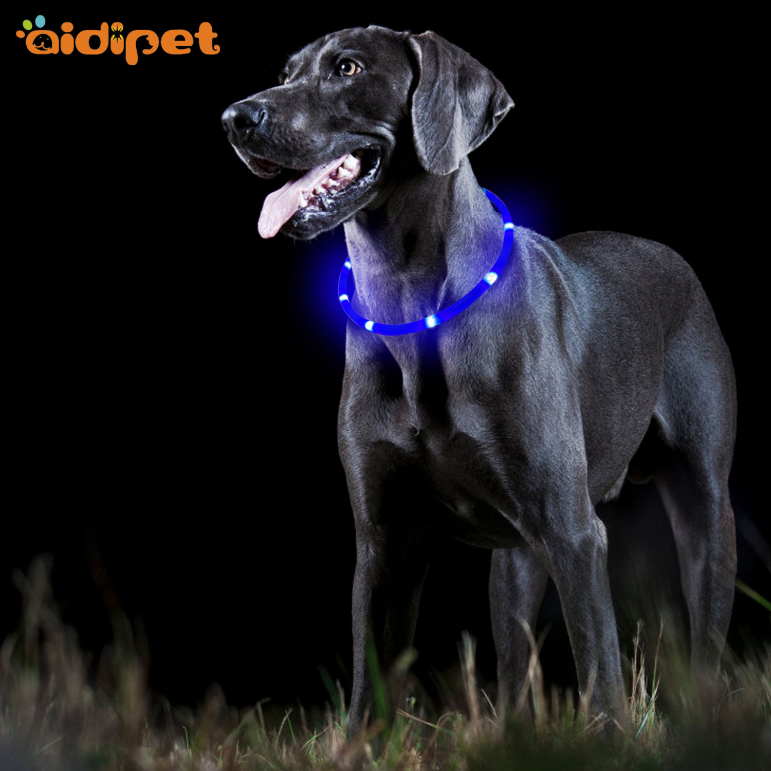 LED Waterproof silicone light up dog collar AIDI-C3
