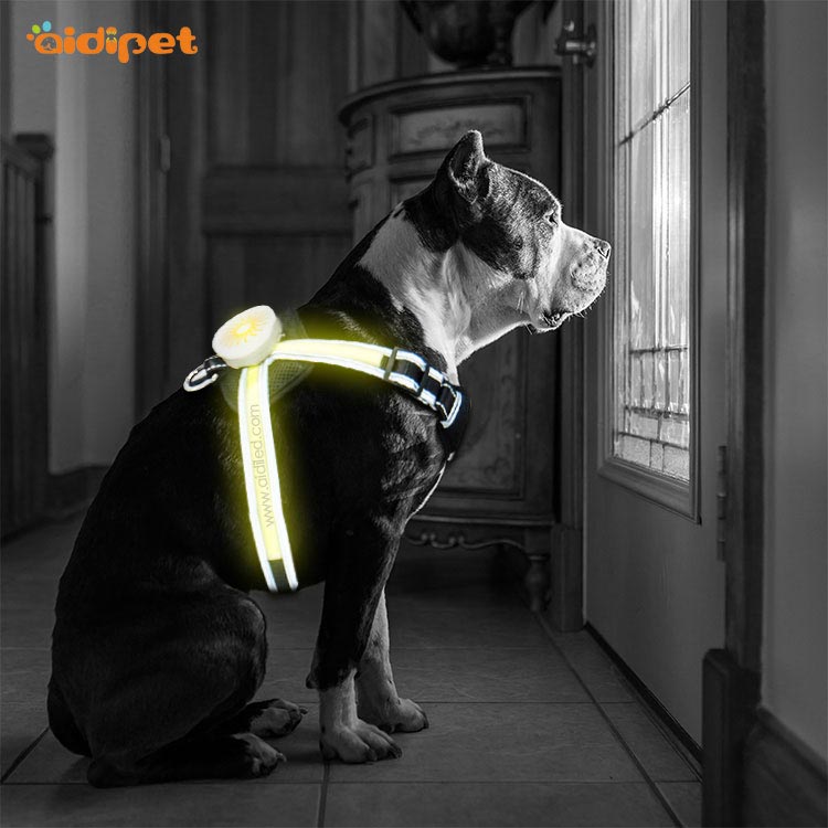 Soft Padded RGB Led Dog Harness AIDI-H7