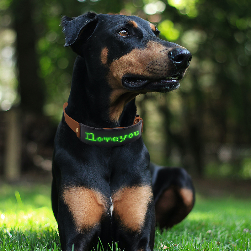 User Guide of LED text dog collar AIDI-C24P