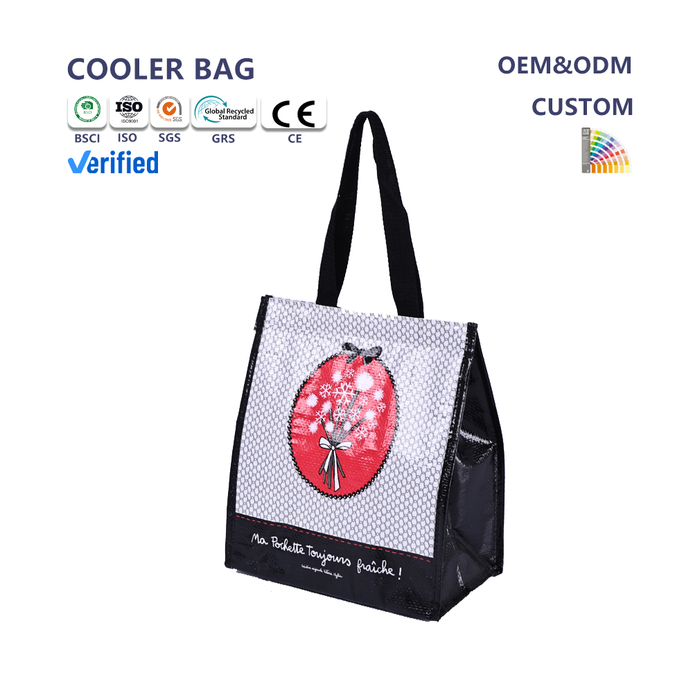 Hot Solar Panel Cooler Bag Wholesale Various Shape Cooler Bag Insulated Recyclable Cooler Bag