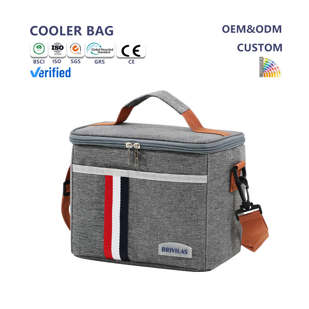 New Fashionable Business Bag with Cooler Inside Large Insulated Cooler Bag
