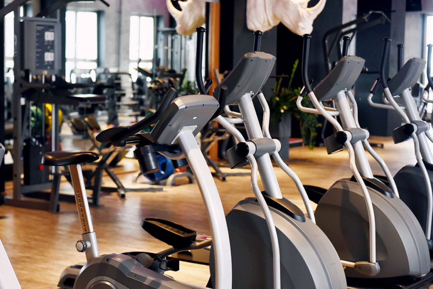 https://image.jumitop.cn/www.ganasgym.ru/2024/12/02/image_folder/choosing-the-best-equipment-for-effective-workouts-2_3QCBjYxQ.jpg