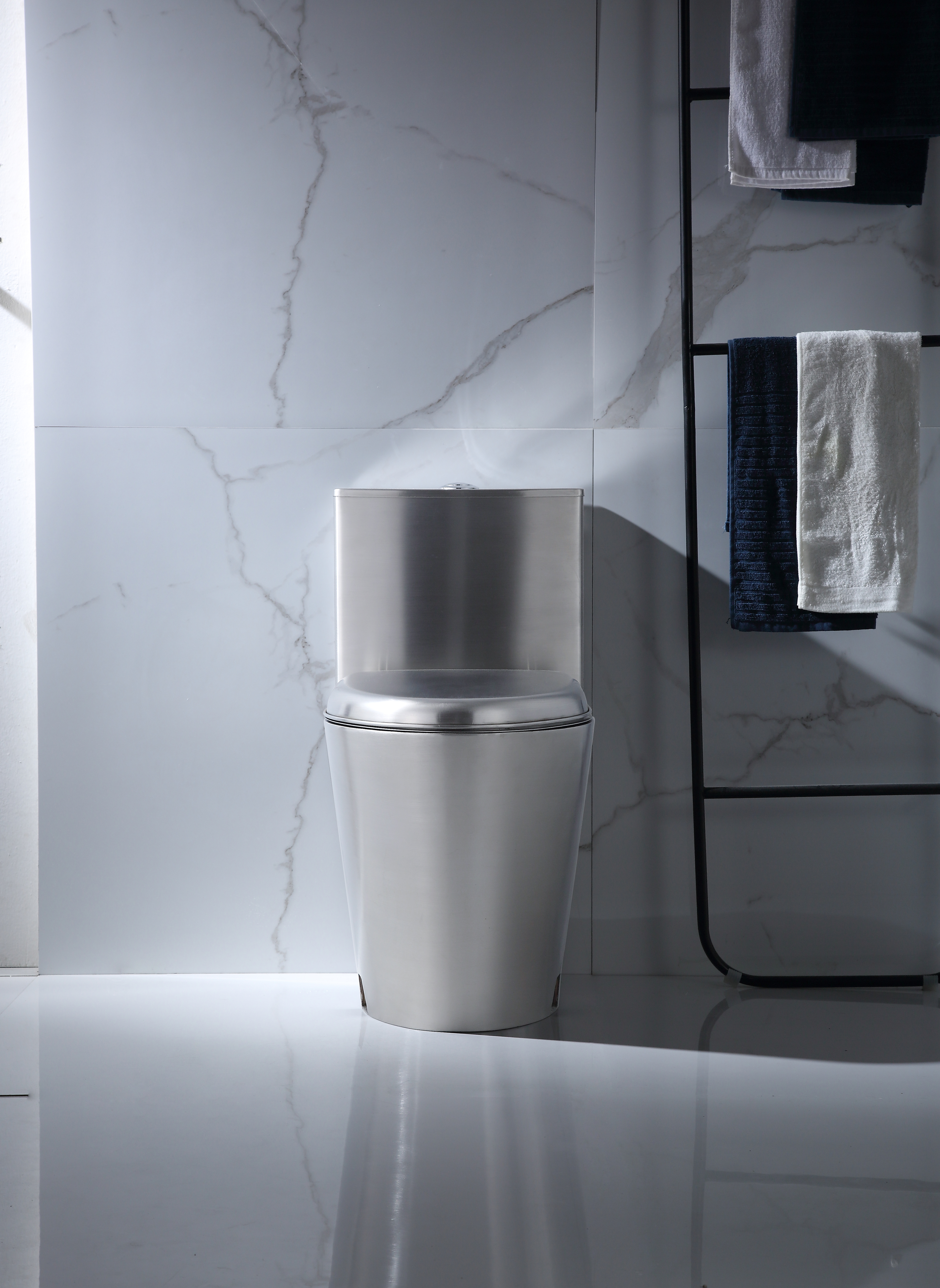 Stainless steel toilet