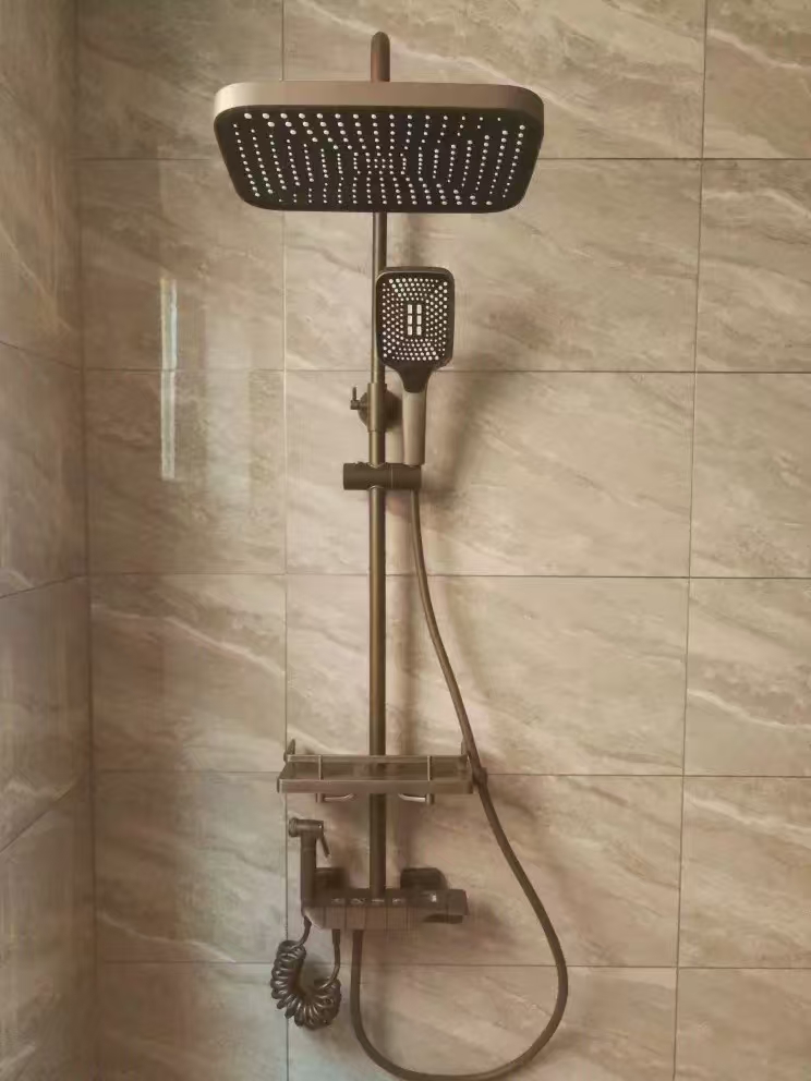 Stainless steel shower head