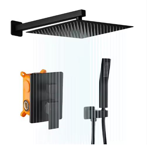 Stainless steel shower head