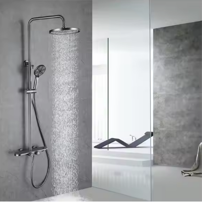 Stainless steel shower head