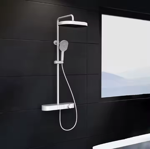 Stainless steel shower head