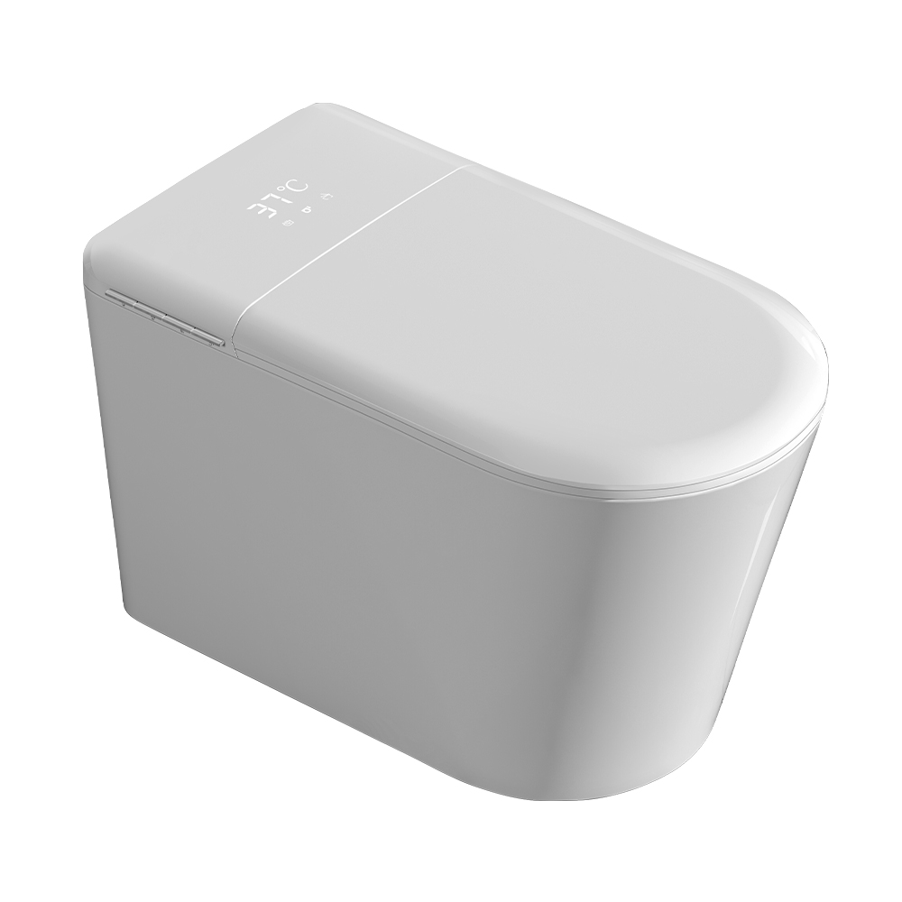 Smart Toilet H960B