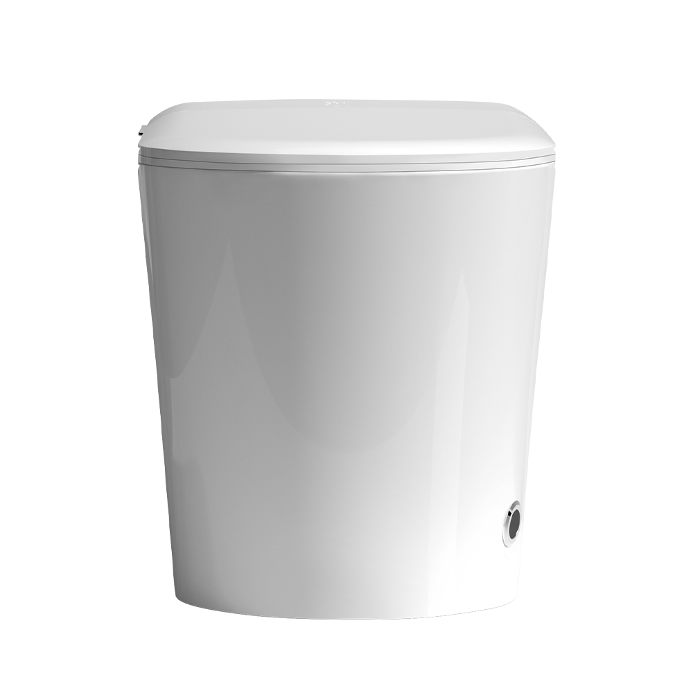 Smart Toilet H960D