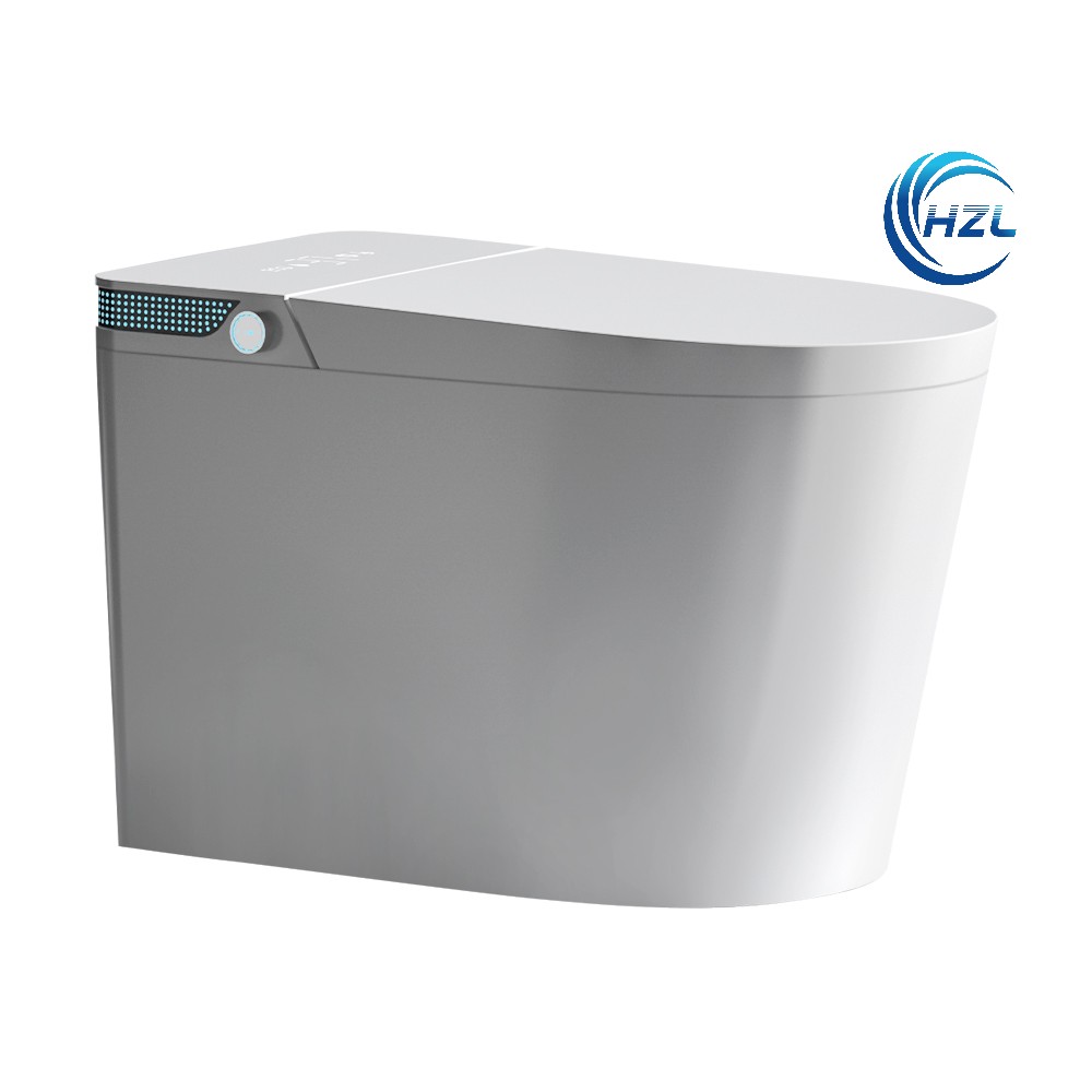 Smart toilet H963D