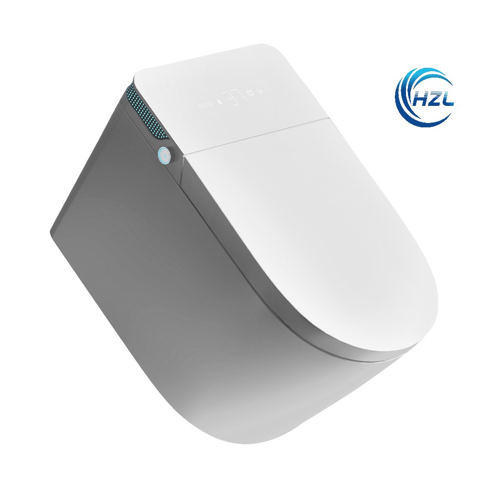 Smart toilet H963E
