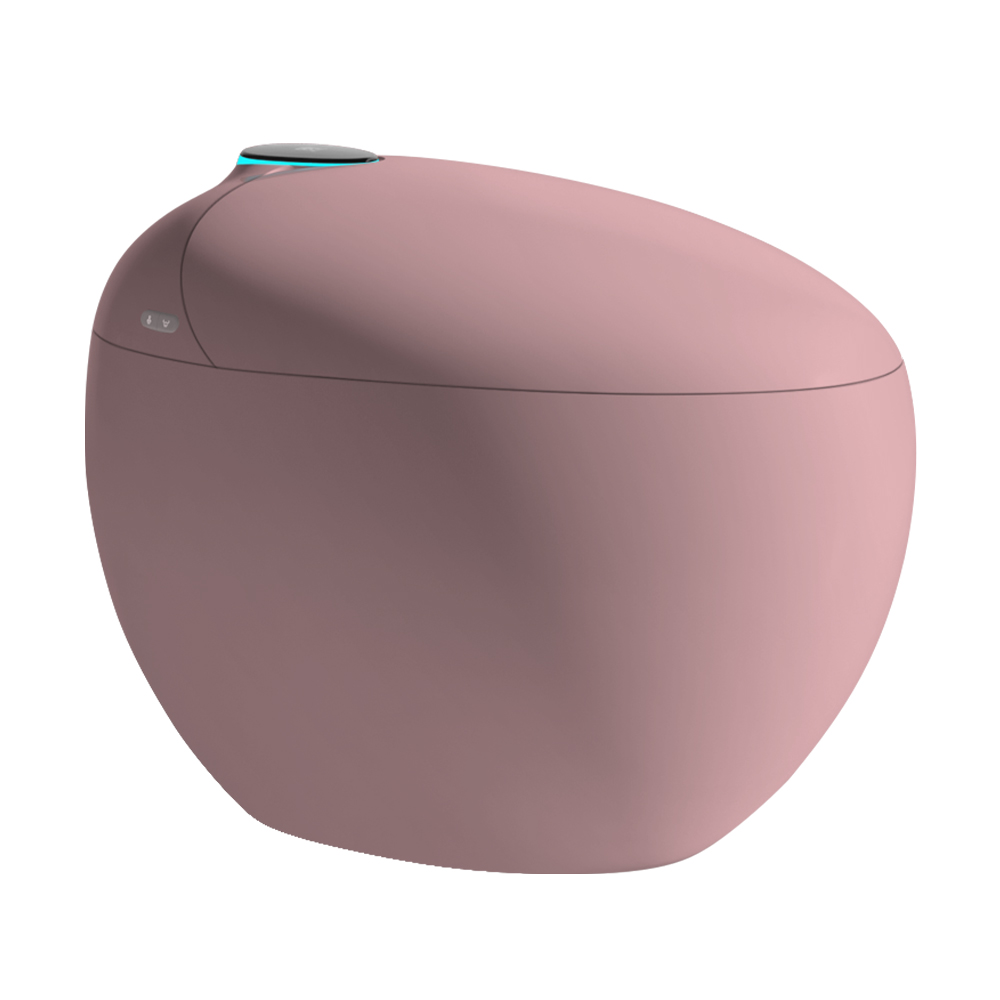 Smart toilet H964E