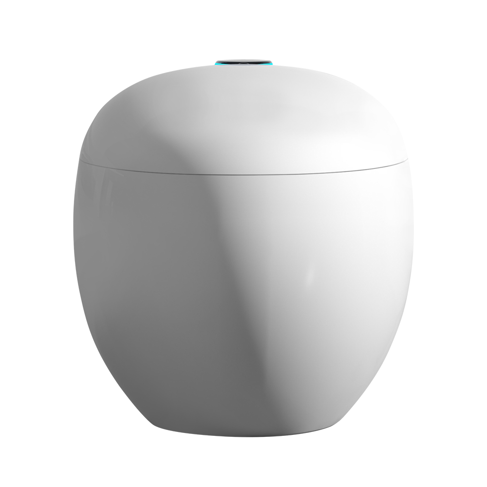 Smart toilet H964B