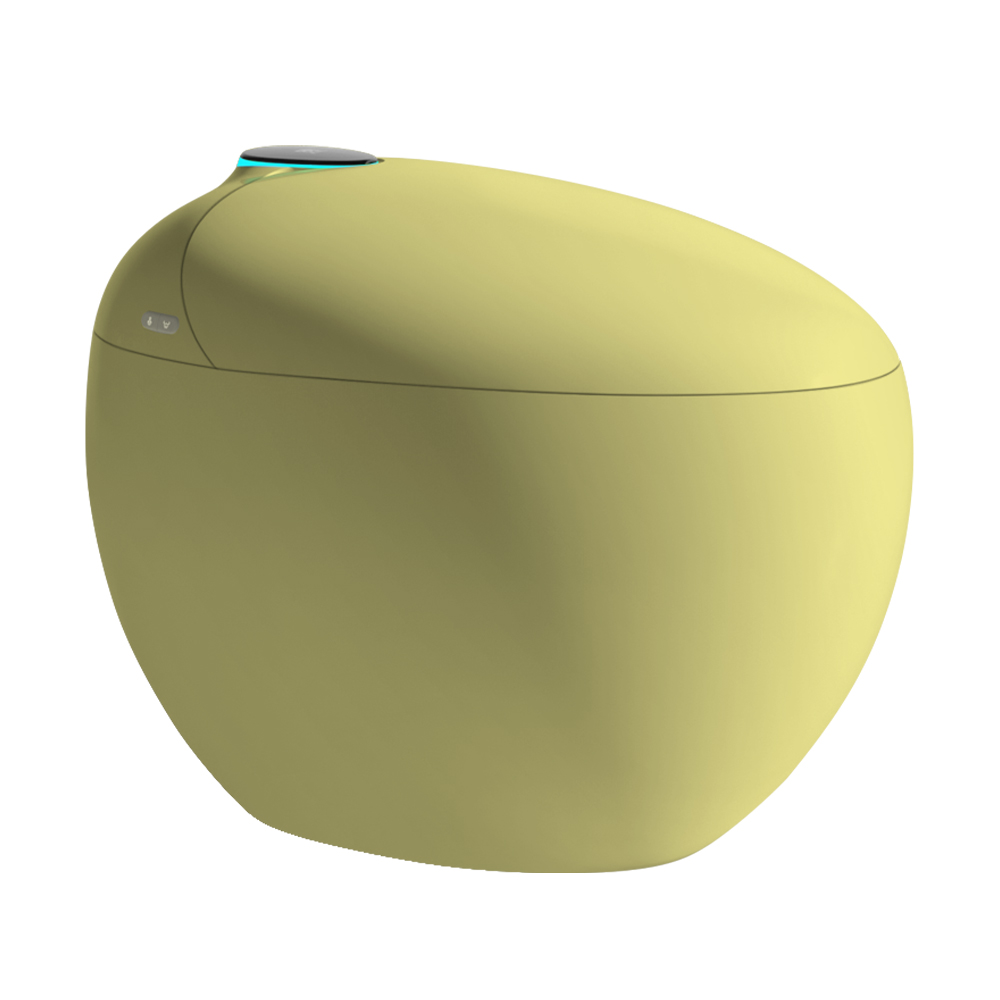 Smart toilet H964E