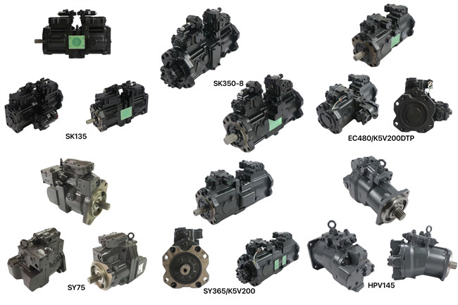 10003_U8FxM6PF.jpg