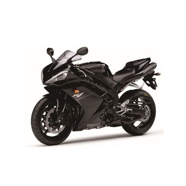 DS series + MT-1009 high gloss varnish