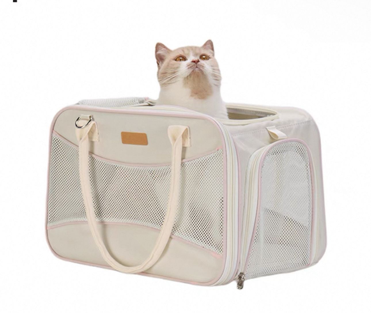 Pet bag