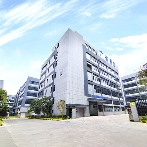 FUTURE GOALS OF THE COMPANY