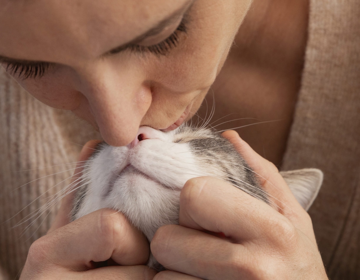 YOUR RELIABLE GLOBAL PET FOOD SUPPLY CHAIN PARTNER, MAKING PROCUREMENT EASIER & MORE ASSURED. YOUR RELIABLE GLOBAL PET FOOD SUPPLY CHAIN PARTNER, MAKING PROCUREMENT EASIER & MORE ASSURED.