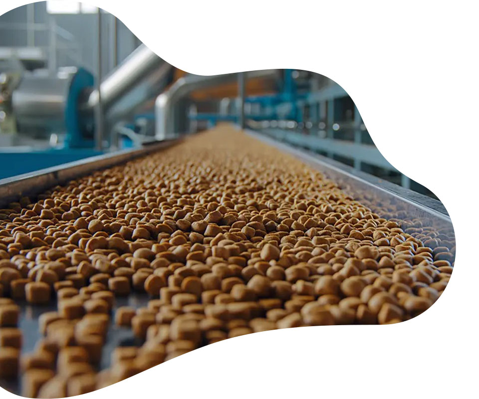 High End Equipment Technology