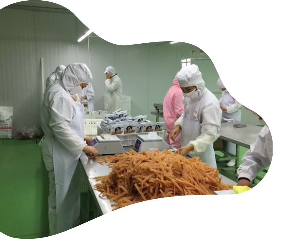 Specialization of Quality Management