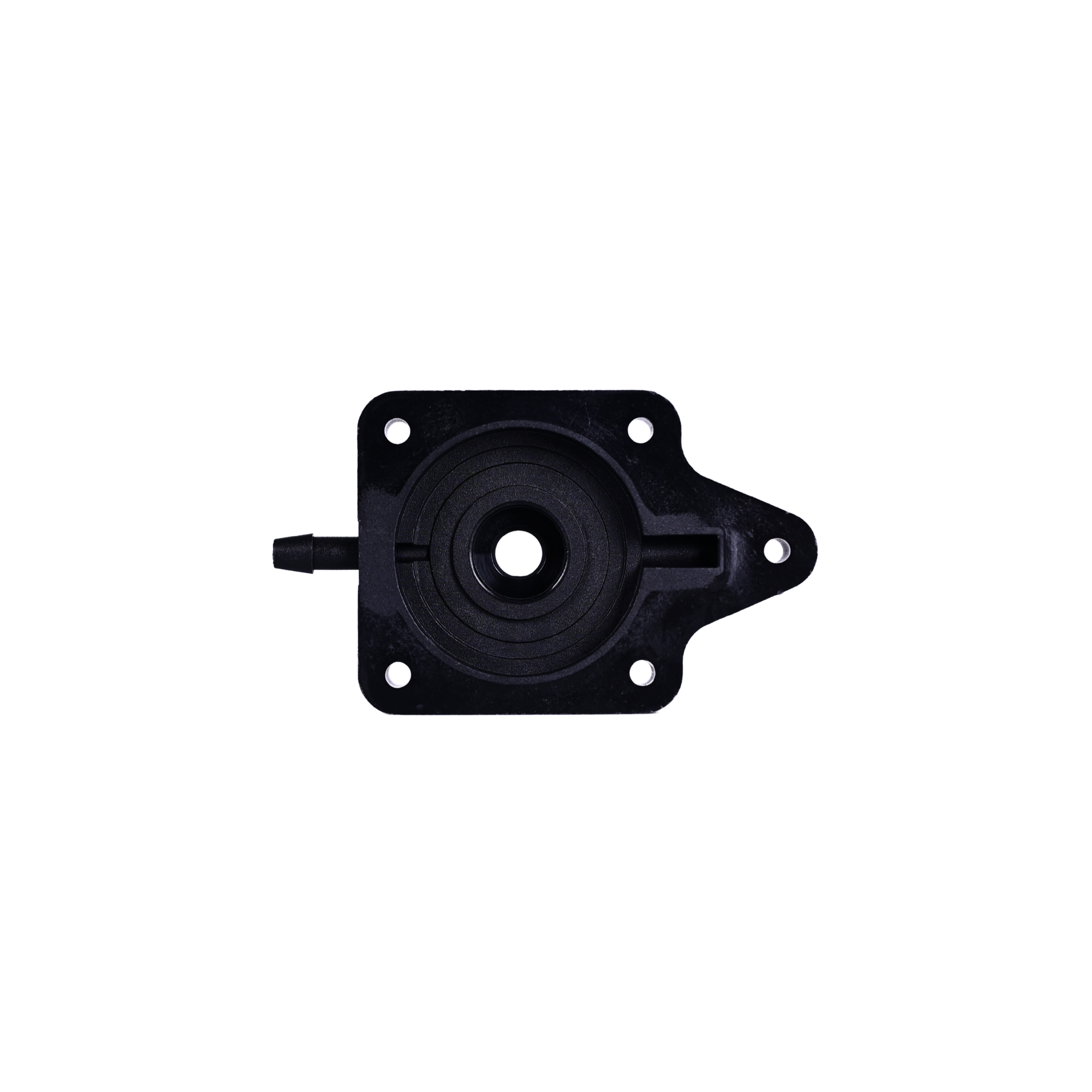 DSC_0007-2_lSlhIBD2.png